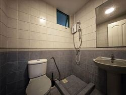 The Sunny Spring (D14), Apartment #530554651